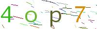 Verify Code