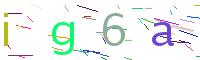Verify Code
