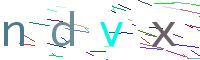 Verify Code